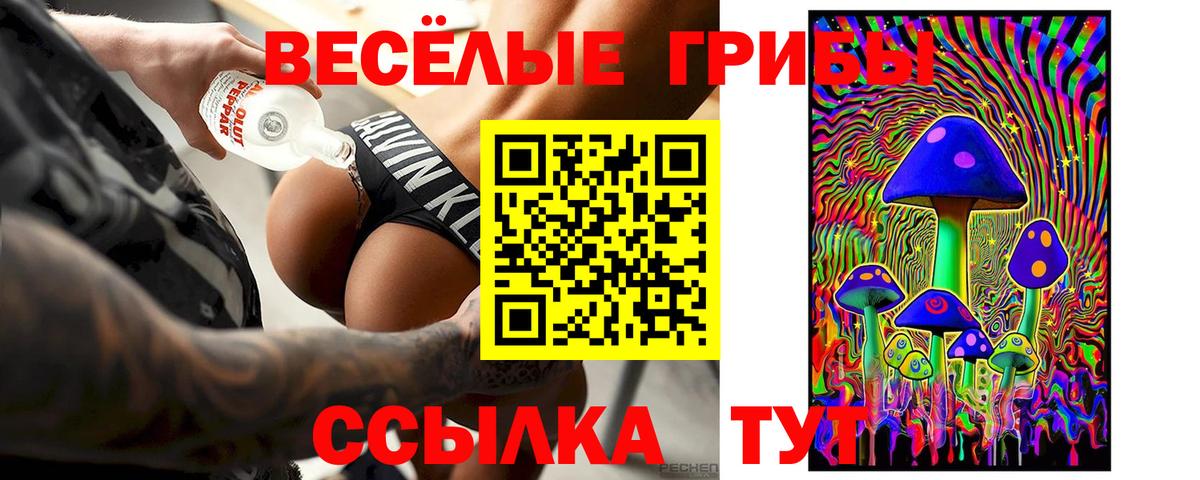Черняховск  как найти наркотики  Вход с VPN  Галлюциногенные грибы Magic Shrooms 